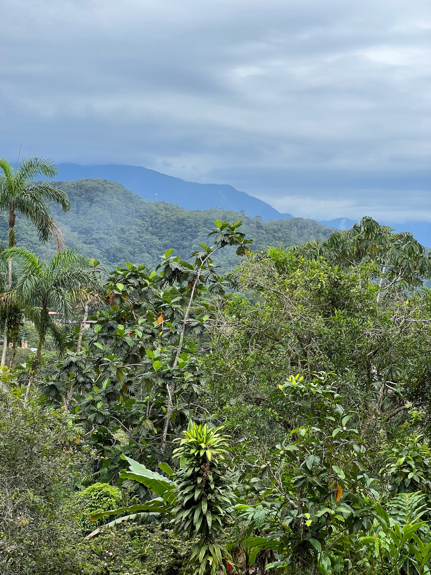 Colombia, Mocoa Putumayo